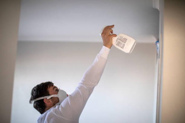 Best Water Damage Restoration  in North Catasauqua, PA