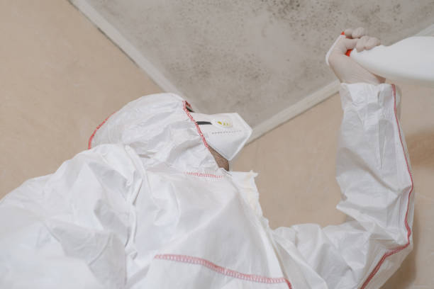 Best Office Mold Removal Services  in North Catasauqua, PA